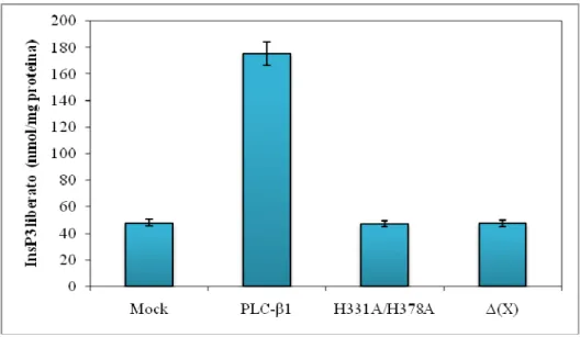 Figura 10. Effetti delle mutazioni H331A e H378A sull’attività catalitica della PLC-β1