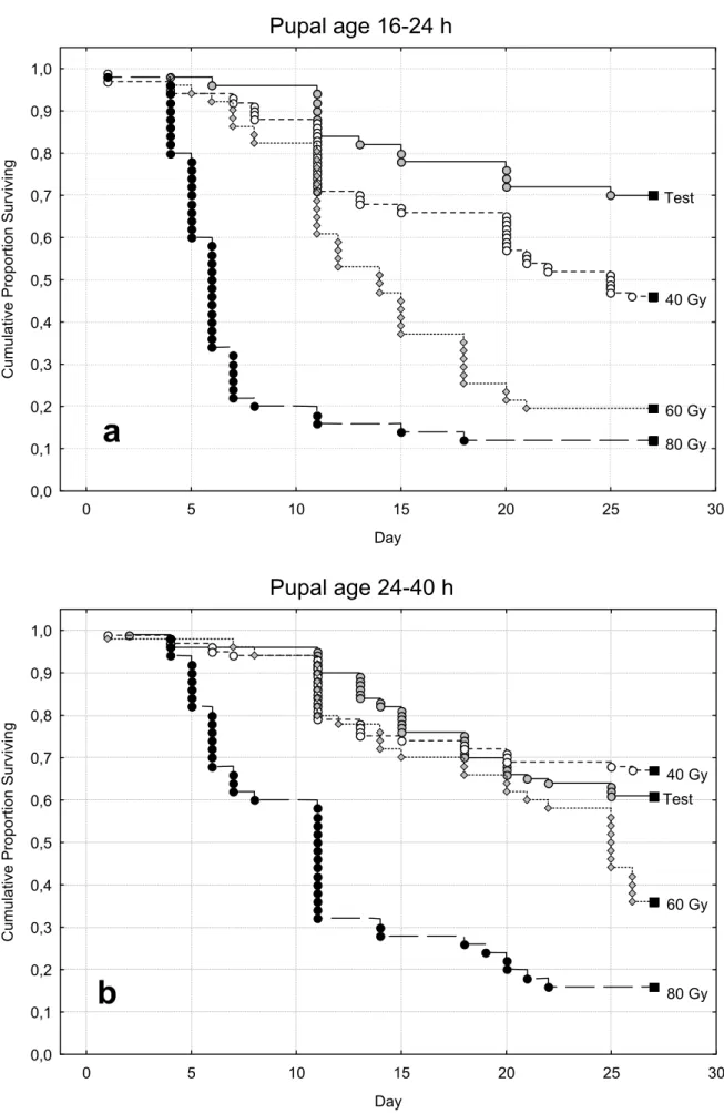 Fig. 3.1 - Cumulative Proportion Surviving dei maschi adulti irraggiati alle diverse età pupali (   Censored)   Pupal age 16-24 h  0 5 10 15 20 25 30 Day0,00,10,20,30,40,50,60,70,80,91,0