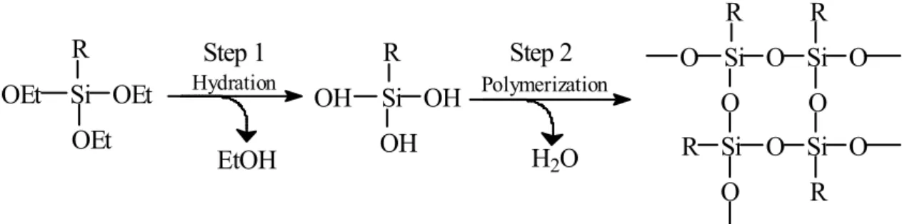 Fig. 2.9 – Mechanism of polymerization of alkyl alkoxy silanes. R = organic chain (typically methyl  or ethyl) ; Et = ethylic group; EtOH = ethanol