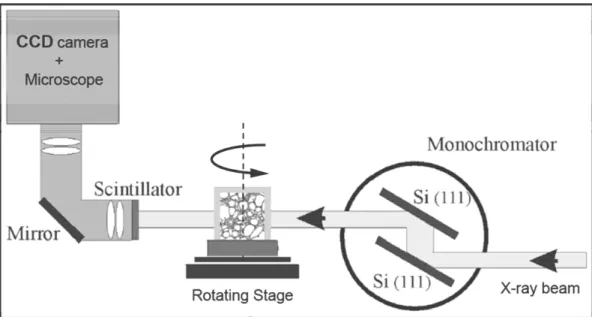 Fig. 3.8 - SR-CT setup with scintillator-CCD camera-microscope system 