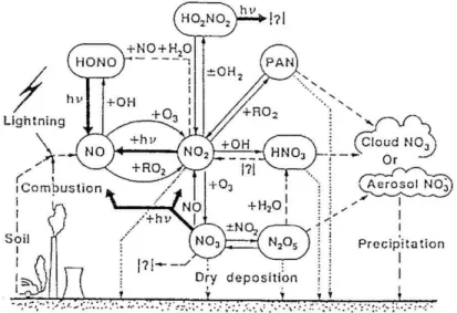 Figura 2.1. Chimica degli ossidi di azoto nello strato superiore dell’atmosfera.