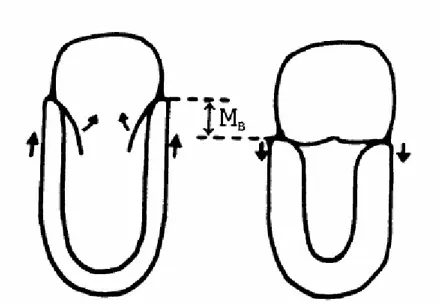 Fig 4. Movimento di abbassamento dell’anello mitralico  (Emilsson K, Clin Physiol 2001)