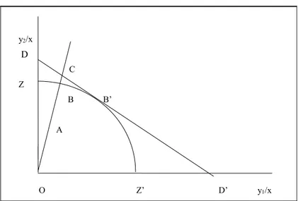 Figura 2.1.2 -  Misura output orientata dell’efficienza  y 2 /x D  C Z B B’ A O Z’ D’  y 1 /x D 