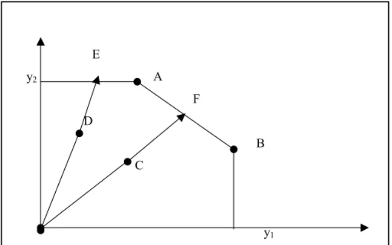 Figura 2.3.1.1 - Data Envelopment Analysis 