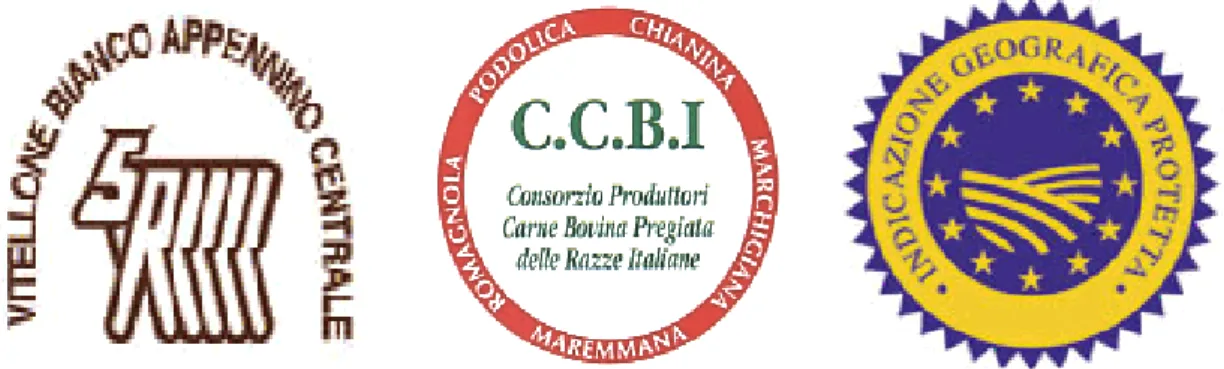 Figura  7:  Marchio  della  produzione  tipica  del  “Vitellone  Bianco  dell'Appennino  Centrale”,  Marchio  del consorzio C.C.B.I