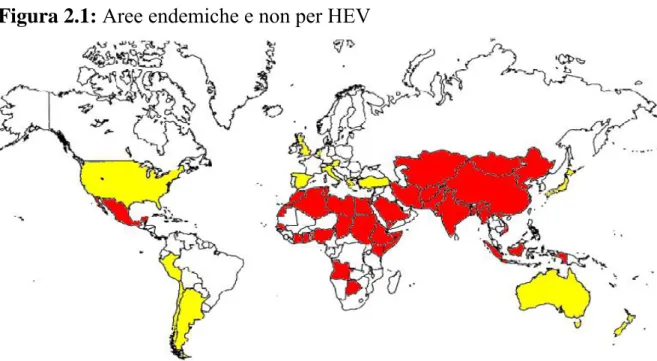 Figura 2.1: Aree endemiche e non per HEV 