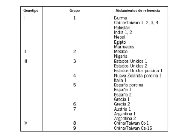 Fig. 2:Genotipi di HEV