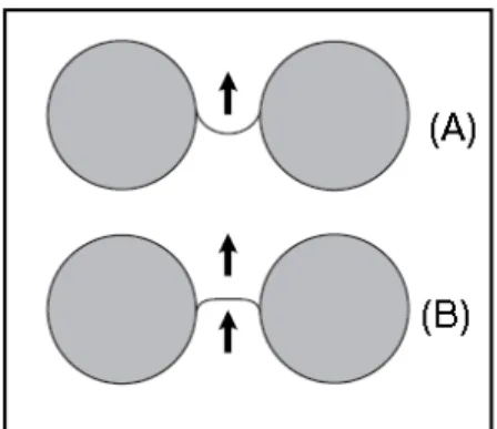 Fig. 26 Profilo del fronte del solvente tra le particelle della fase stazionaria in                TLC tradizionale (A) e in HPTLC a flusso forzato (B)