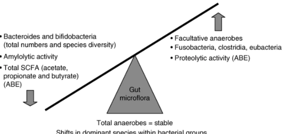 Fig. 5. Variazioni nella microflora intestinale della popolazione anziana. ABE, antibiotic-treated elderly.