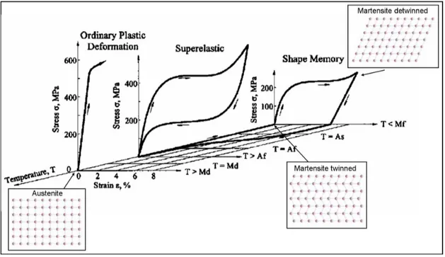Figura 2.7: Ciclo termomeccanico in un grafico carico-deformazione-temperatura rappresentante l’effetto di memoria ad un via.