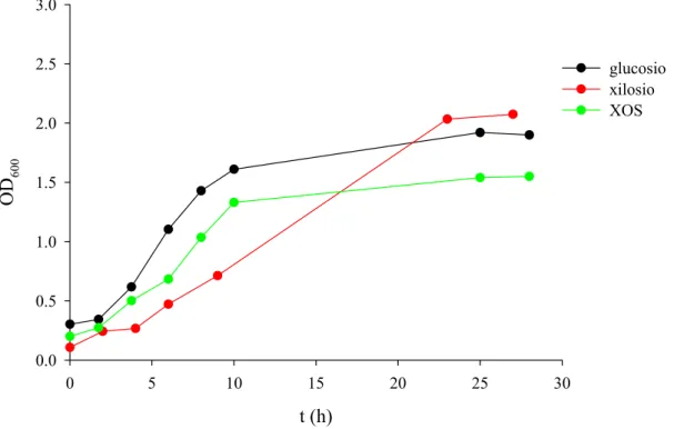 Fig. 30 Curve di crescita di B. adolescentis MB 239 su diversi glucosidi prebiotici e rispettivi  componenti mono- e dicaccaridici