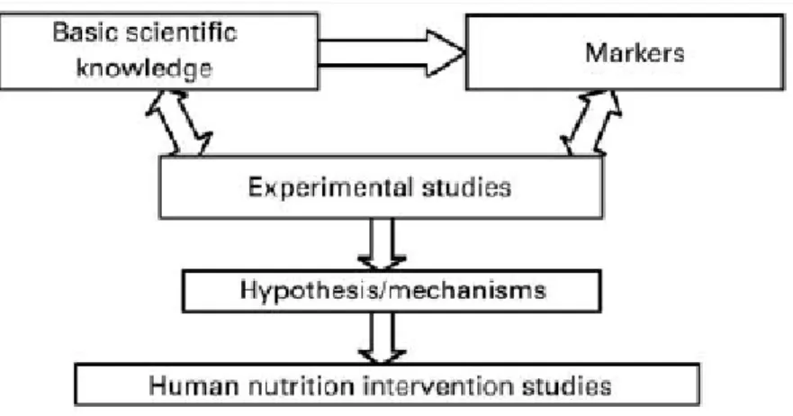 Fig. 19 Rappresentazione schematica della strategia per la scoperta e lo sviluppi di nuovi  alimenti funzionali