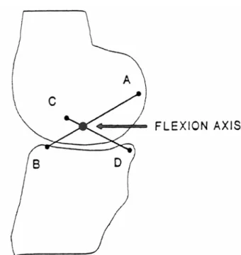 Figure 1.16: The cruciate linkage comprises four links: AB is the neutral  fibre of the ACL, CD is the neutral fibre of the PCL, BD is the link between  the tibial attachment sites, and CA designates the femoral insertion points