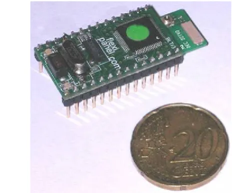 Figure 3.17: Modulo Flexipanel ToothPic comprendente un modulo BlueTooth ed un  microcontrollore