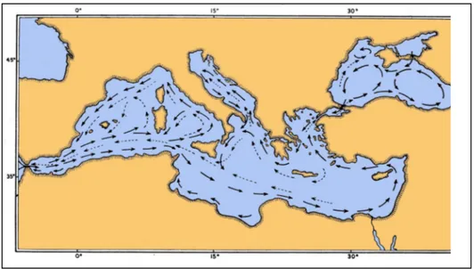Fig. 1.3.1 – Mediterranean sea currents 