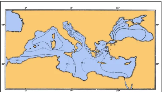 Fig. 1.3.2 – Mediterranean sea salinity 