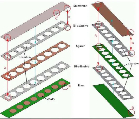 Figure 3.3: Pressure sensor strip structure: exploded top view (left side), exploded  bottom view (right side).Membrane, spacer and base are connected by means of  bi-adhesive layers