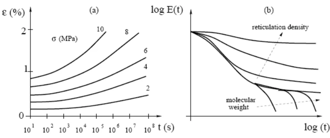 Figure 3.12:  a) Creep deformation for different applied stresses. b) Qualitatively  behaviour of the relaxation modulus as function of time and molecular structure
