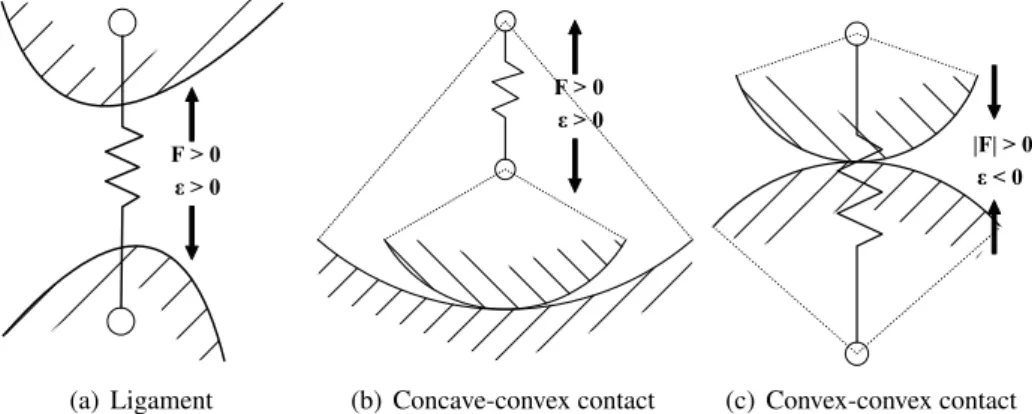 Figure 2.13: The relations between strains and forces of ligament (a), medial condyle (b) and lateral condyle (c) fibres of the proposed multi-fibre model.