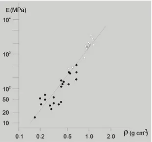 Figure 1.6. Young's modulus of trabecular bone as a function of density of bone. 