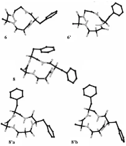 Fig.  10.  Strutture  rappresentative  di  6,6 e  8,8 calcolate  con  MD  con  restrizioni  (numero  minore di violazioni ROESY)