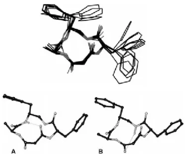 Fig. 11. Strutture minimizzate di 8 ottenute ogni 500 ps durante MD (5.0ns) senza restrizioni in  acqua