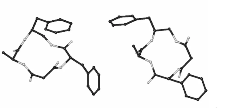 Fig.  16.  Strutture  a  bassa  energia  rappresentative  di  8  (sinistra)  e  9  (destra)  in  accordo  con  l analisi ROESY