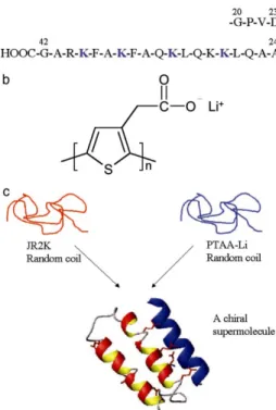 Figure 1.7 Structural data for peptide JR2K and poly(thiophene acetic acid) PTAA-Li. 