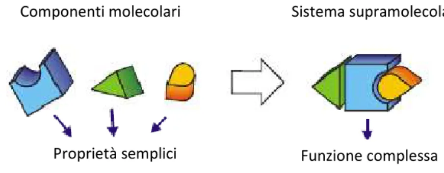 Figura 1. Dalla chimica molecolare a quella supramolecolare: subunità che svolgono funzioni  semplici e supramolecola che svolge funzioni complesse 
