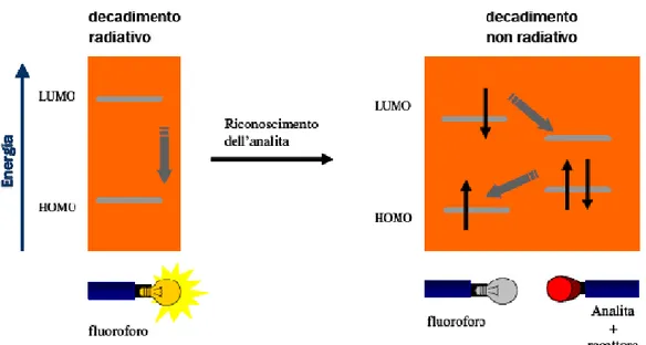 Figura 4. Schema di un sensore in cui la fluorescenza è spenta attraverso PET (Photoinduced Energy  Transfer) 