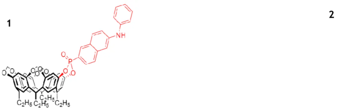 Figura 3.1. Cavitandi fluorescenti: isomero IN, a 