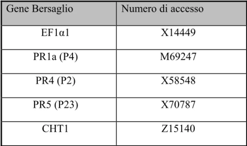 Tabella 2: numeri di accesso dei geni bersaglio per l’amplificazione  del cDNA mediante PCR