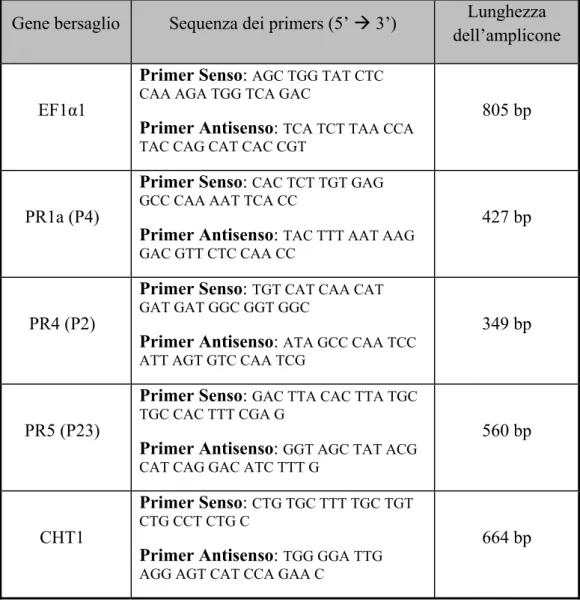 Tabella 3: sequenze dei primers per i saggi di amplificazione genica. 