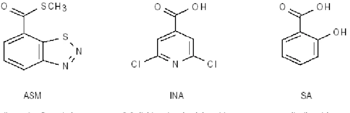 Figura 2. Attivatori della SAR: acibenzolar-S-methyl (ASM), acido  2,6-dicloro isonicotinico (INA) e aciso salicilico (SA), naturale  molecola segnale della SAR (Oostendorp et al., 2001)