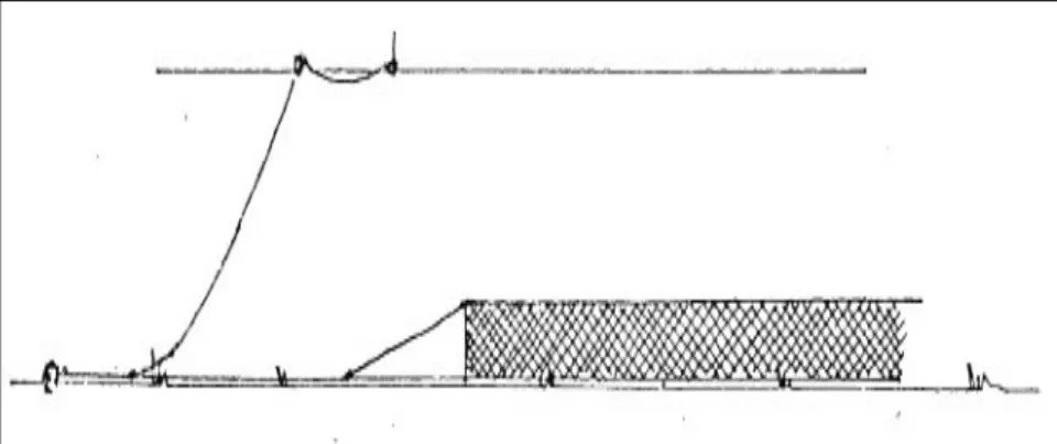 Fig. 1.5 Illustrazione di pesca con reti da posta (F EDERCOOPESCA , 2008) 