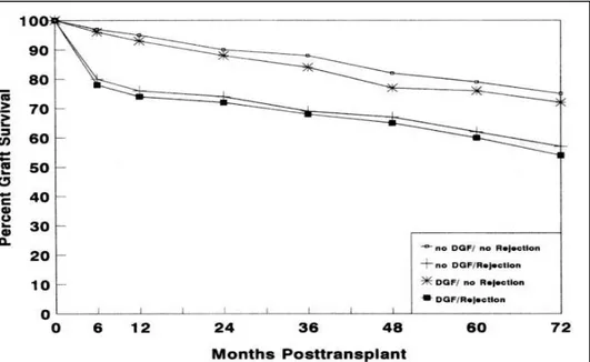 Fig 4: From: Marcen R, OrofinoL, Pascual et al. Delayed graft function does not reduce the  survival of renal transplant allograft