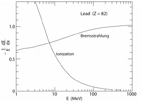 Figure 1.3: The radiation energy loss of electrons for ionization and bremsstrahlung processes (in units of cm −1 ) as a function of the electron energy.