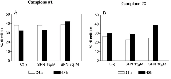 Fig. 8 (A, B): Effetti del SFN sull’induzione di apoptosi nei  campioni da pazienti affetti da LLC 