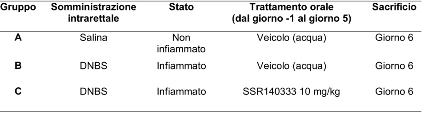 Tabella 4A. Trattamento preventivo con SSR140333 nel modello acuto di colite da DNBS 