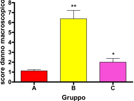 Figura 8. Score del danno macroscopico nel colon, in differenti gruppi  sperimentali. I dati sono espressi come media  ±  SEM