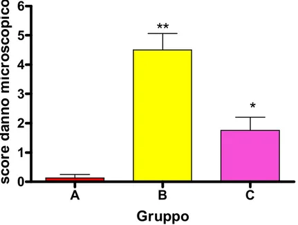 Figura 10. Score del danno microscopico nel colon, in differenti gruppi  sperimentali