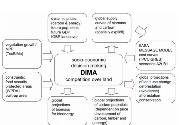 Fig 2-11: Rappresentazione dell’approccio modellizzativo integrato proposto da  DIMA nello studio delle strategie di gestione forestale relativamente al sequestro  di CO 2  e alla perdita di biomassa