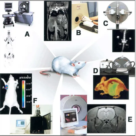 Figure  1.1  Multiple  imaging  modalities  are  available  for  small-animal  molecular  imaging