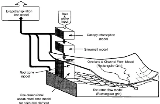 Figura 2.5: Diagramma schematico della componente idrologica in SHETRAN (da Bathurst (2002))