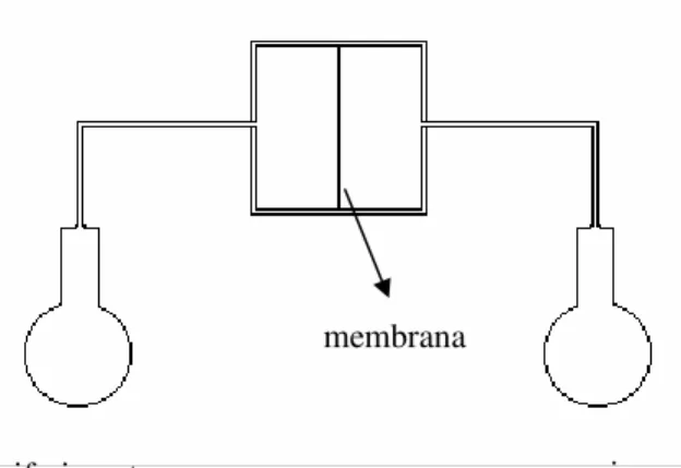 Figura 3.10: Rappresentazione schematica di un apparato  per la misura del consumo d’ossigeno: sono visibili i due 
