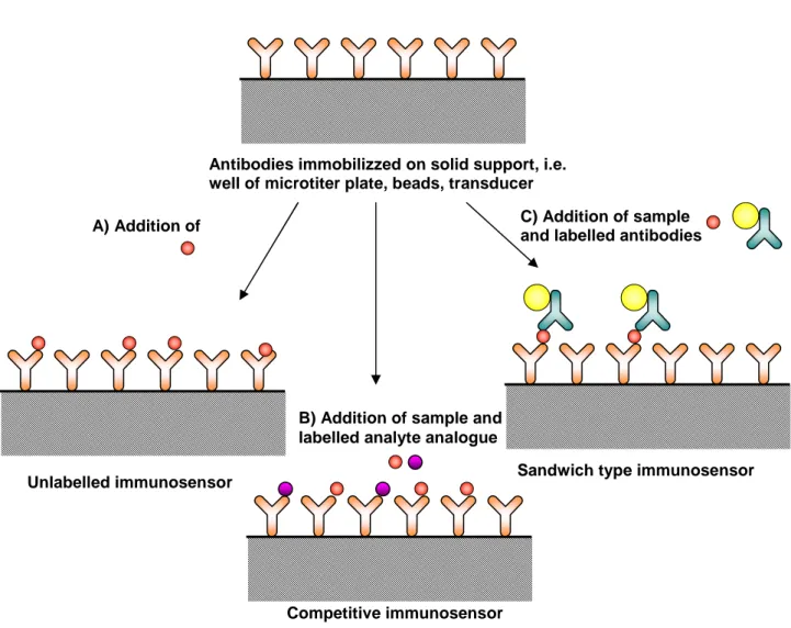 Figure 1: Immunosensor principles based on immobilized antibodies; (A) direct sensing of  the  binding  reaction  of  the  analyte;  (B)  competitive  assay  formats  based  on  analyte  tracers, the label can be an enzyme, a fluorophore or even a radioiso