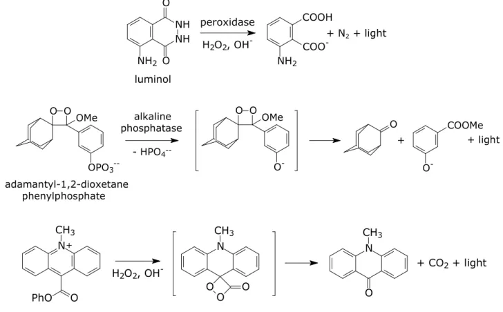 Figure 1: CL reactions commonly used in analytical chemistry 