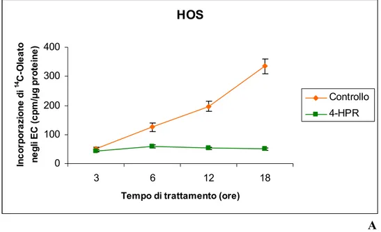 Figura 1. Incorporazione di  14 C-Oleato negli esteri del colesterolo (EC) nella  linea cellulare di osteosarcoma umano HOS in assenza (Controllo) o presenza di  4-HPR 10 μM (4-HPR)