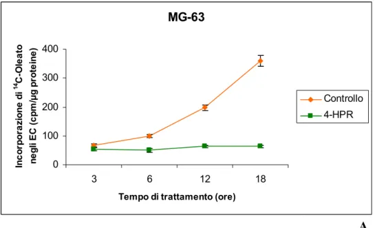 Figura 3. Incorporazione di  14 C-Oleato negli esteri del colesterolo (EC) nella  linea cellulare di osteosarcoma umano MG-63 in assenza (Controllo) o presenza  di 4-HPR 10 μM (4-HPR)