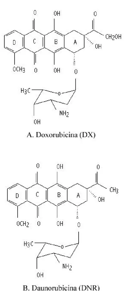 Figura 3: Struttura molecolare della doxorubicina e della